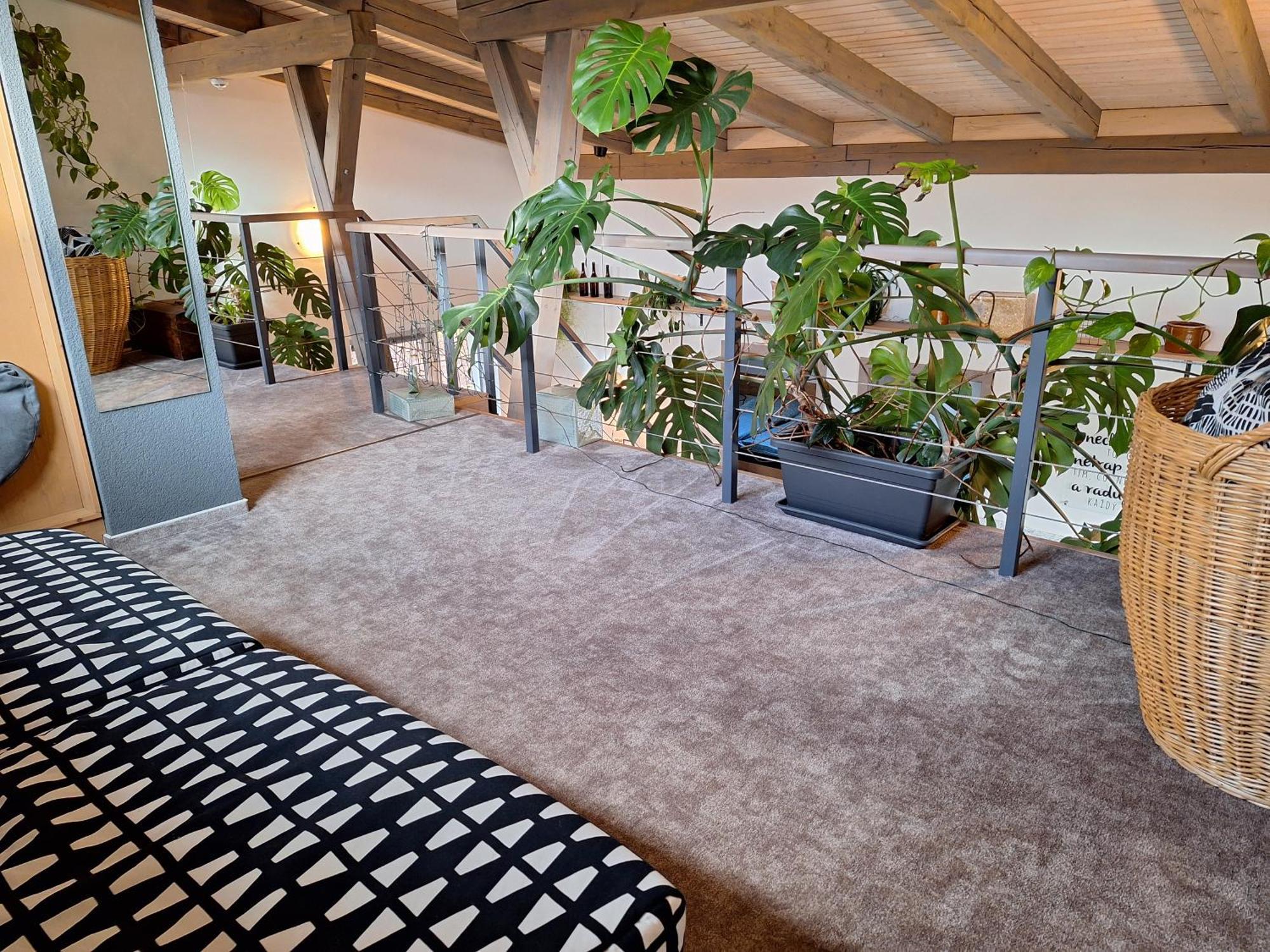 Apartmany Pod Lesem II Rodvínov 外观 照片